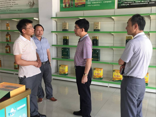 腾龙集团,油茶莳植生产加工销售,植物油莳植生产加工销售