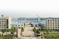 腾龙集团,油茶莳植生产加工销售,植物油莳植生产加工销售