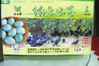 腾龙集团,油茶莳植生产加工销售,植物油莳植生产加工销售