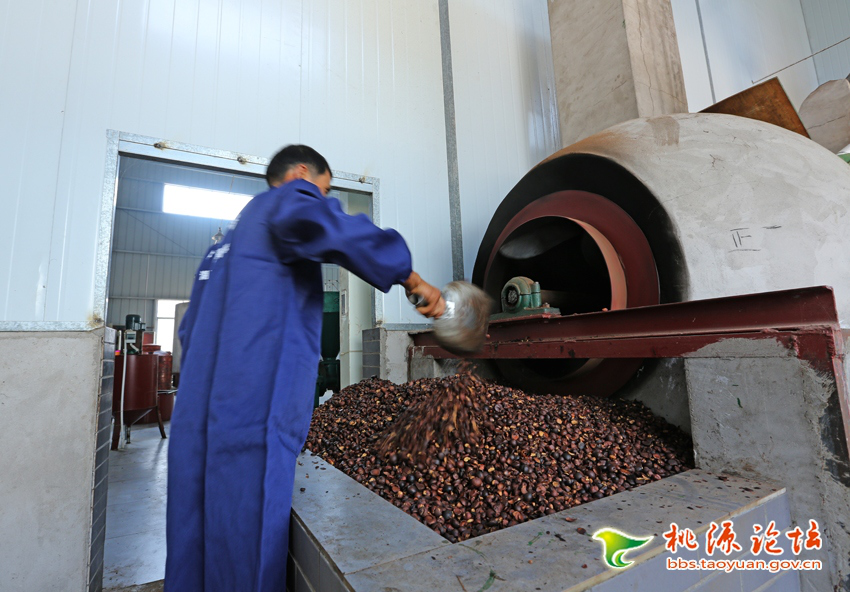 腾龙集团,油茶莳植生产加工销售,植物油莳植生产加工销售