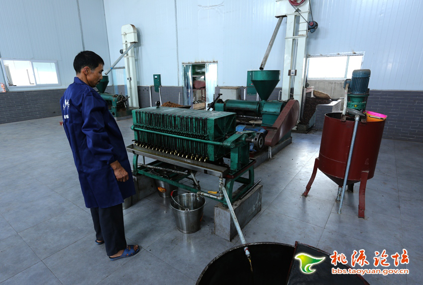 腾龙集团,油茶莳植生产加工销售,植物油莳植生产加工销售