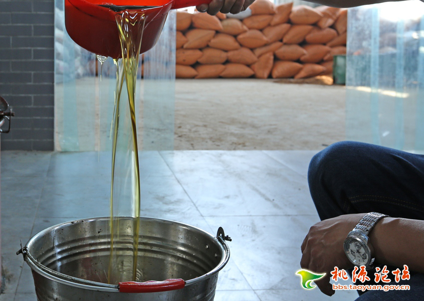 腾龙集团,油茶莳植生产加工销售,植物油莳植生产加工销售