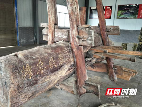 腾龙集团,油茶莳植生产加工销售,植物油莳植生产加工销售