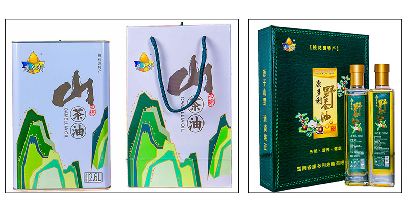 腾龙(中国集团)官方网站