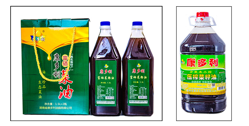 腾龙(中国集团)官方网站